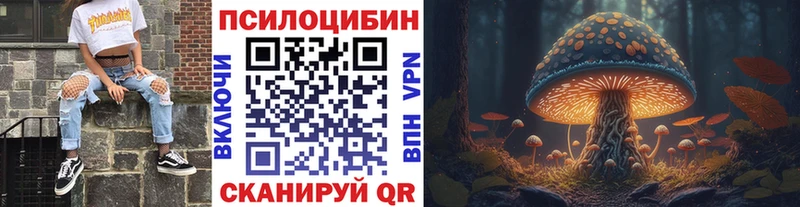 Псилоцибиновые грибы Psilocybe Весьегонск