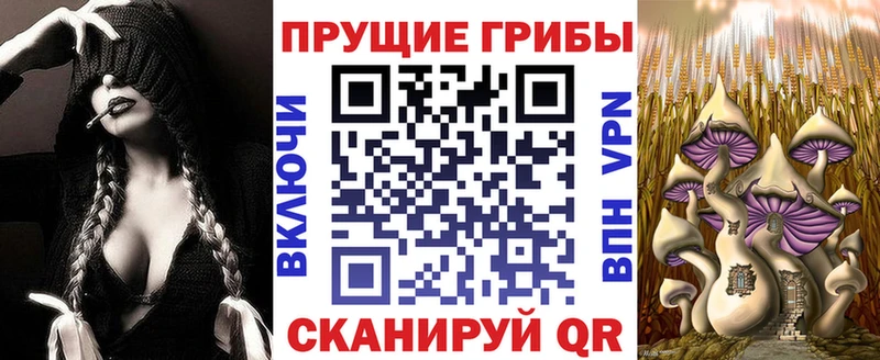 Галлюциногенные грибы Psilocybine cubensis Весьегонск